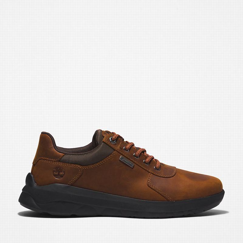Brown Timberland Bradstreet Ultra Gore-Tex Sneakers | 74167366