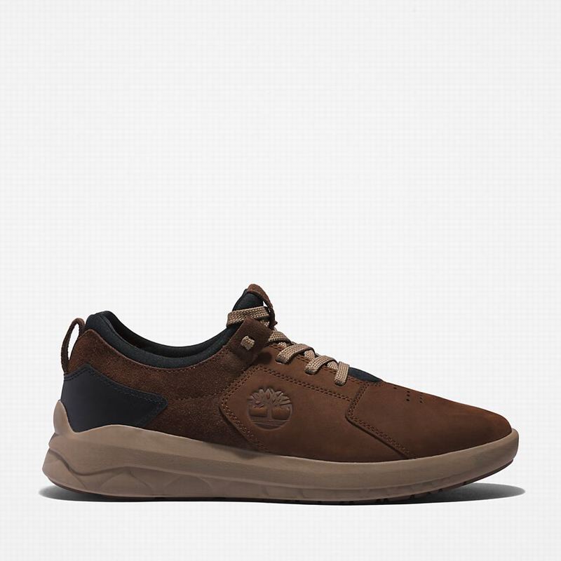 Brown Timberland Bradstreet Ultra Leather Sneakers | 24893659