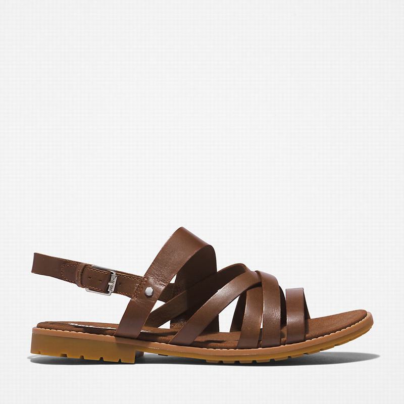 Brown Timberland Chicago Riverside Backstrap Sandals | 42280154