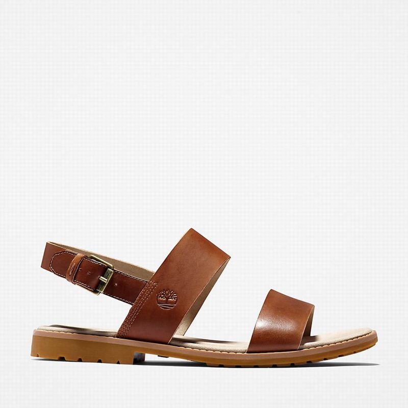 Brown Timberland Chicago Riverside Sandals | 26931598
