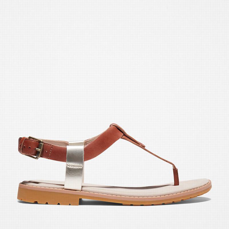 Brown Timberland Chicago Riverside Thong Sandals | 38491936