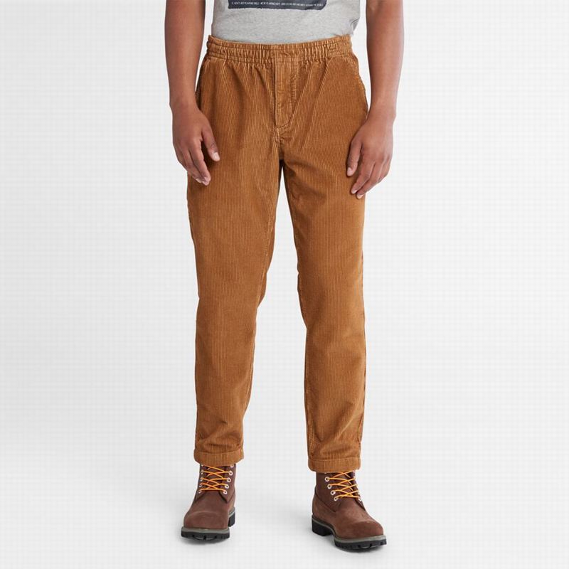 Brown Timberland Corduroy Joggers | 42218054