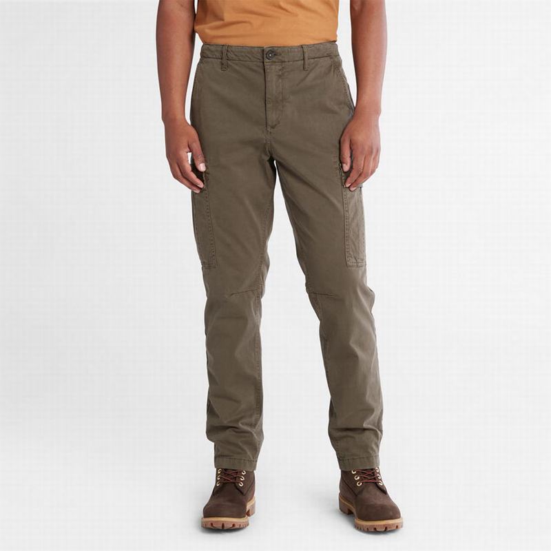 Brown Timberland Core Twill Cargo Pants | 69414613