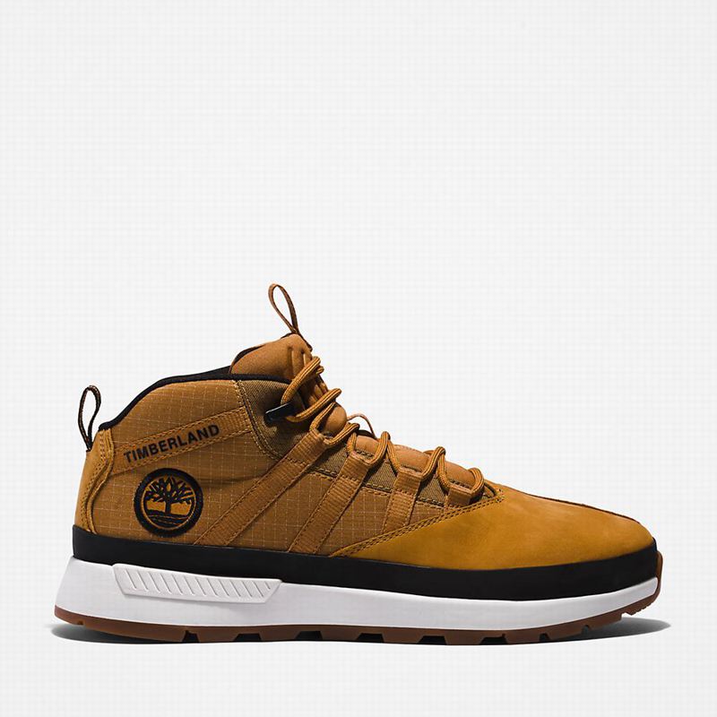 Brown Timberland Euro Trekker Sneakers | 2798647