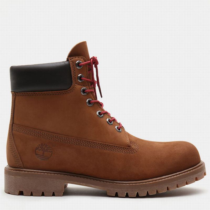Brown Timberland Exclusive 6 Inch Premium Boots | 36201893
