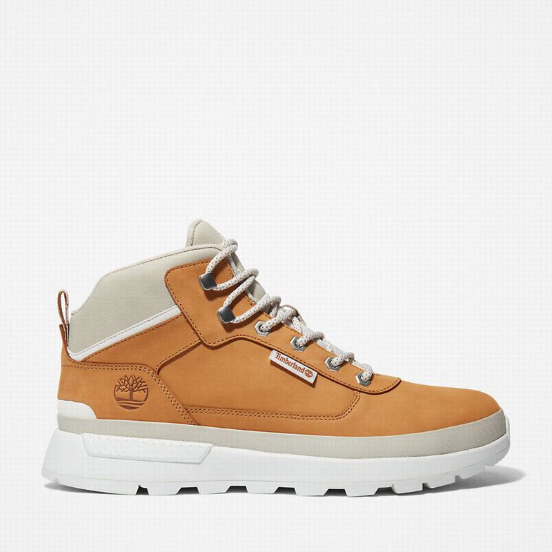 Brown Timberland Field Hiking Boots | 34698050