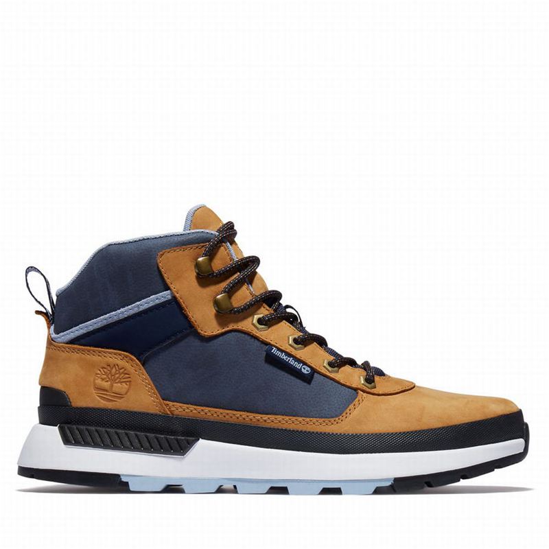 Brown Timberland Field Trekker Sneakers | 44694999