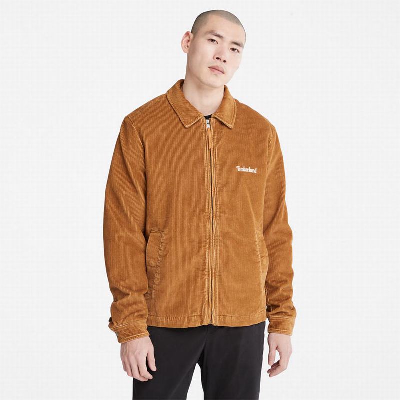 Brown Timberland Garfield Hooded Jackets | 23767808