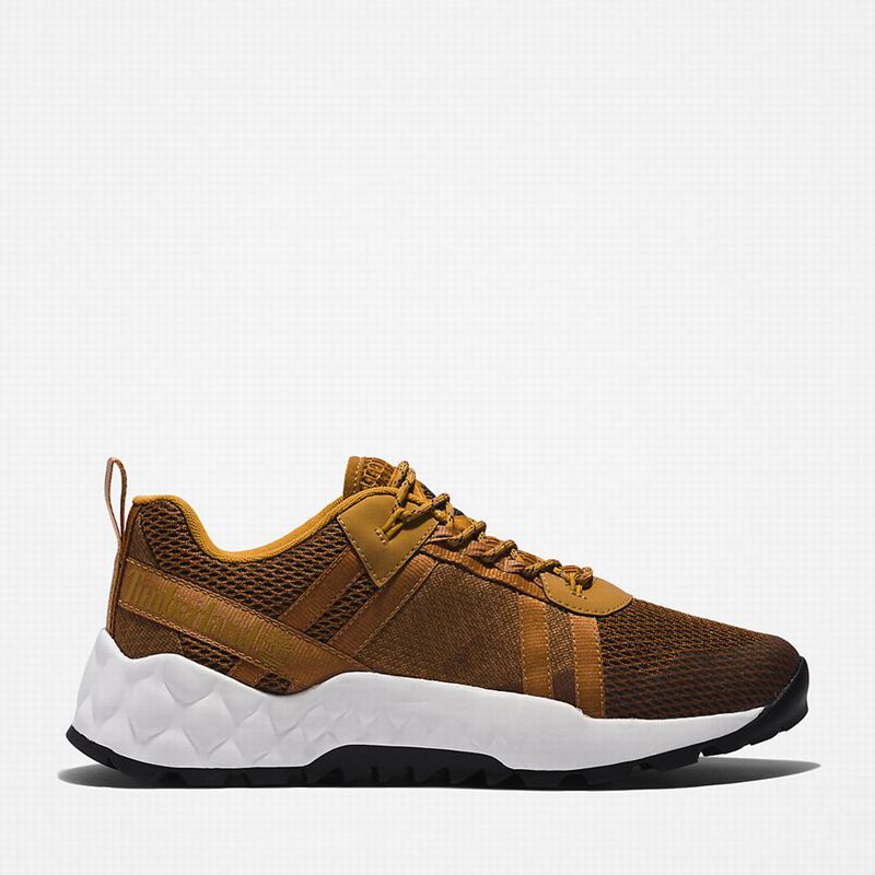 Brown Timberland GreenStride Solar Wave LT Sneakers | 76115157
