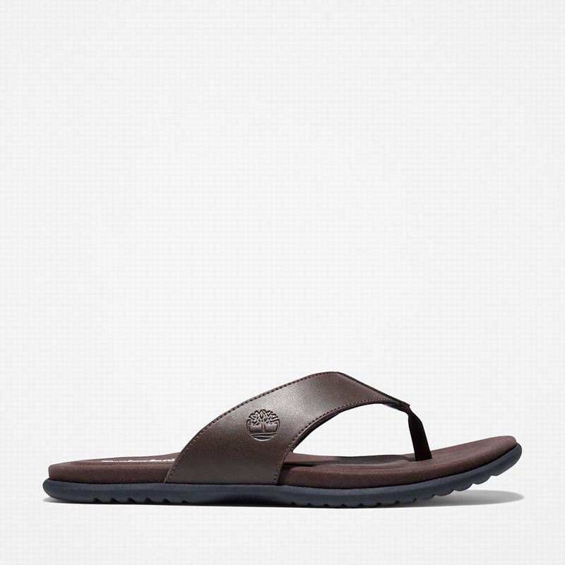 Brown Timberland Kesler Cove Toe-bar Flip Flops | 49741565