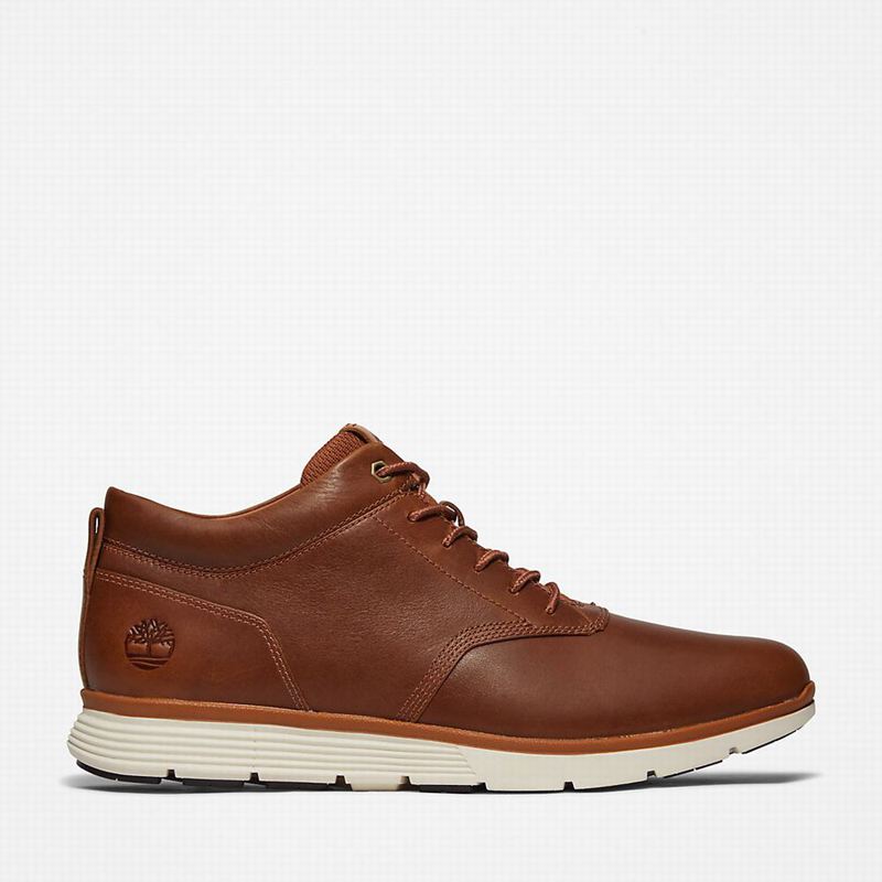 Brown Timberland Killington Oxford Chukka Boots | 23106808