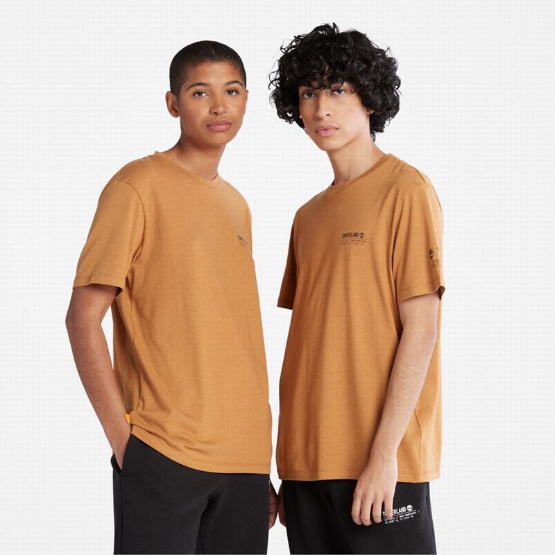 Brown Timberland Logo T-Shirts | 25084699