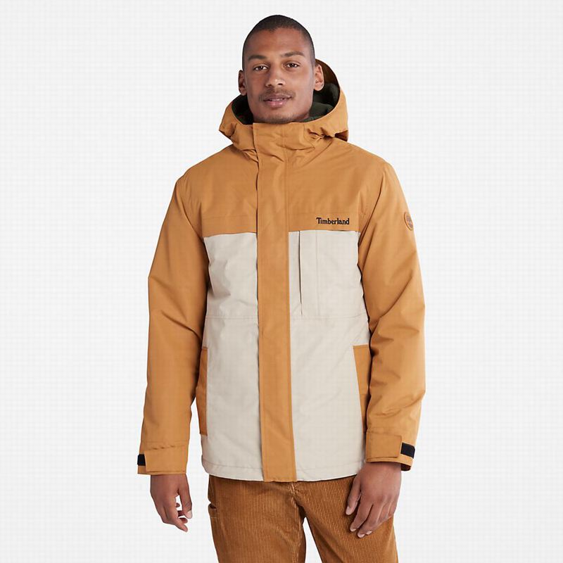 Brown Timberland Mount Redington Waterproof Jackets | 290744