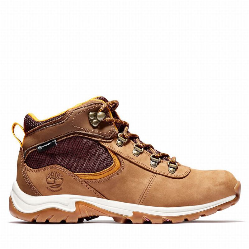 Brown Timberland Mt. Maddsen Gore Tex Hiking Boots | 56268866