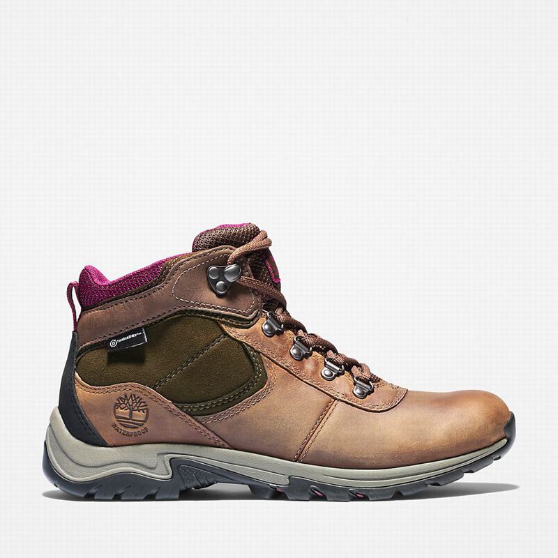 Brown Timberland Mt. Maddsen Hiking Boots | 58083451