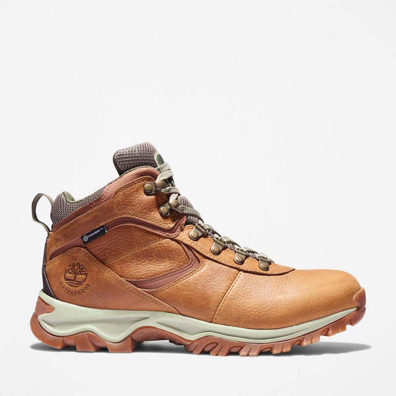 Brown Timberland Mt. Maddsen Waterproof Hiking Boots | 52826465