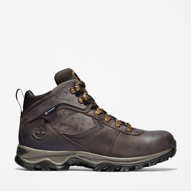 Brown Timberland Mt. Maddsen Waterproof Hiking Boots | 63439505