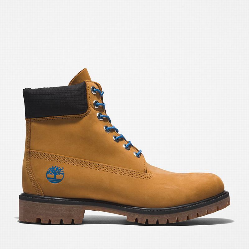 Brown Timberland Premium 6 Inch Boots | 5183469