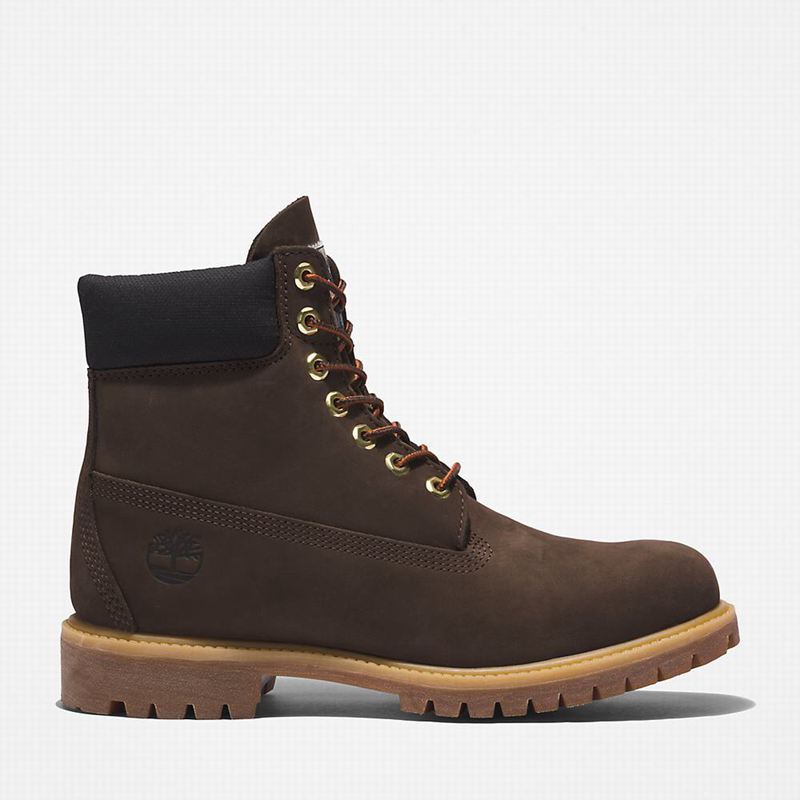 Brown Timberland Premium 6 Inch Boots | 61605175
