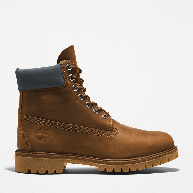 Brown Timberland Premium 6 Inch Boots | 70479724