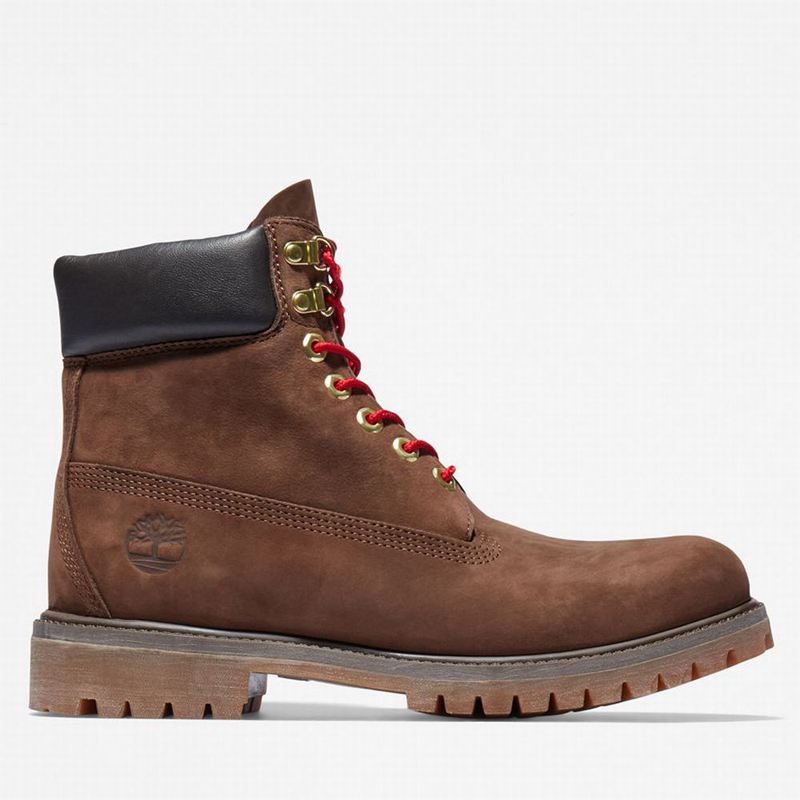 Brown Timberland Premium 6 Inch Lux Leather Boots | 52827695