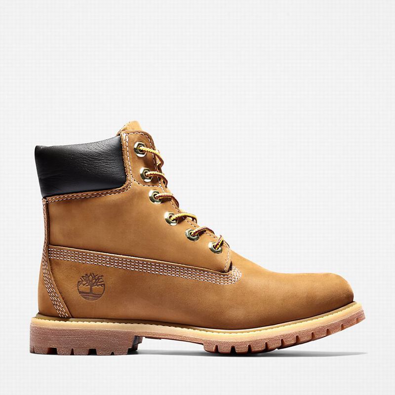 Brown Timberland Premium 6-Inch Waterproof Boots | 93850843