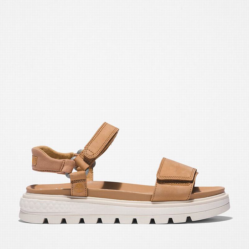 Brown Timberland Ray City Ankle Strap Sandals | 43096631