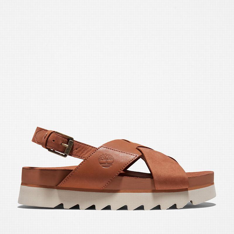 Brown Timberland Santa Monica Sunrise Sandals | 78480874