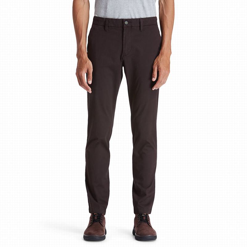 Brown Timberland Sargent Lake Chino Pants | 34657471