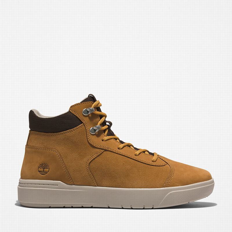 Brown Timberland Seneca Bay Chukka Boots | 68146560