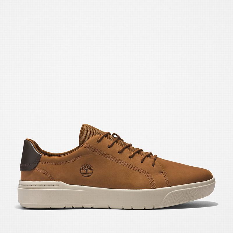 Brown Timberland Seneca Bay Sneakers | 27462329