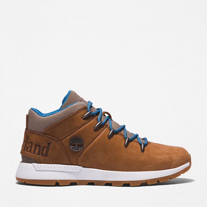 Brown Timberland Sprint Mid Hiking Boots | 20734043