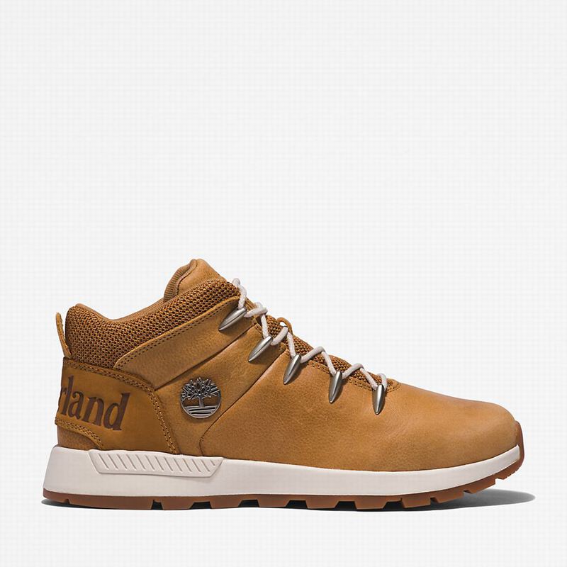 Brown Timberland Sprint Mid Hiking Boots | 2224082