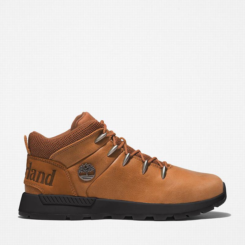 Brown Timberland Sprint Mid Hiking Boots | 97691920