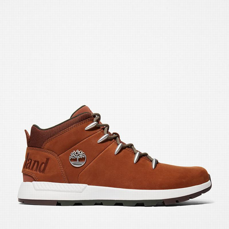 Brown Timberland Sprint Trekker Chukka Boots | 71075917