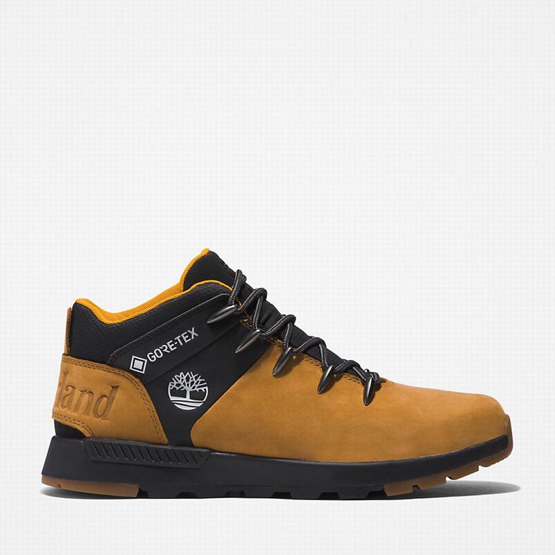 Brown Timberland Sprint Trekker Gore-Tex Chukka Boots | 14262612