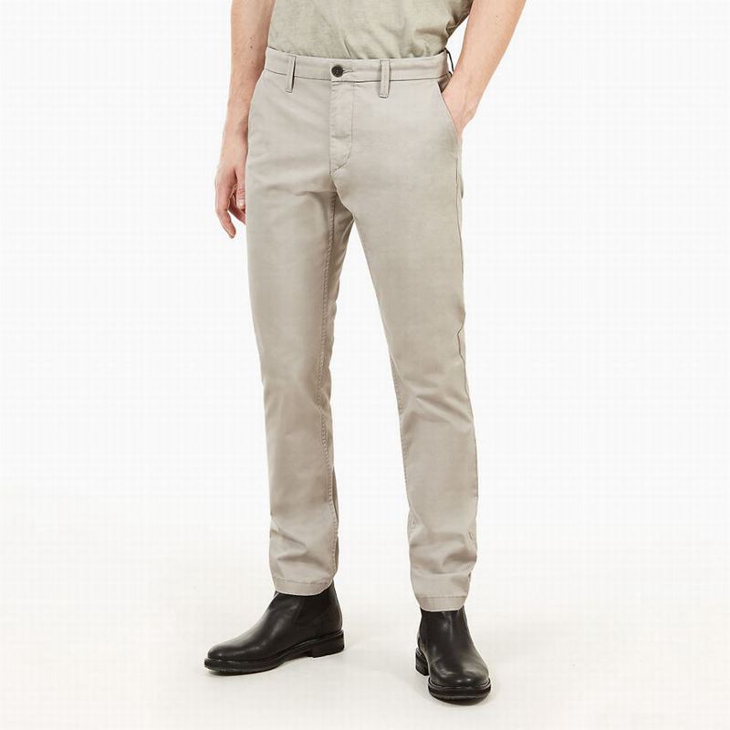 Brown Timberland Squam Lake Twill Chino Pants | 62631505