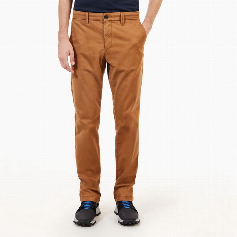 Brown Timberland Squam Lake Twill Chino Pants | 83162543