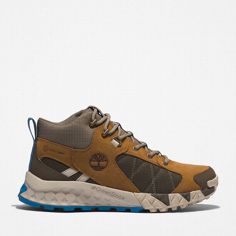 Brown Timberland Trailquest Hiking Boots | 16798154