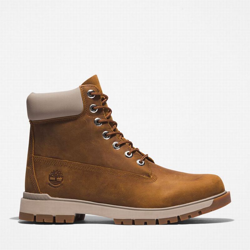 Brown Timberland Tree Vault 6 Inch Boots | 59406425