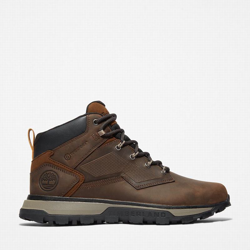 Brown Timberland Treeline Hiking Boots | 68006637