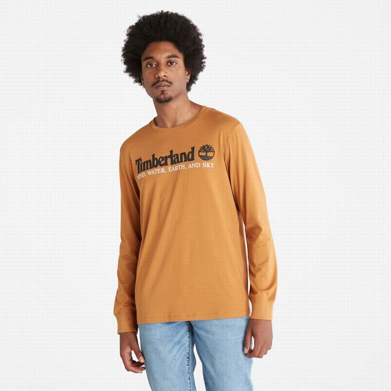 Brown Timberland Utility Back-Graphic T-Shirts | 6890859