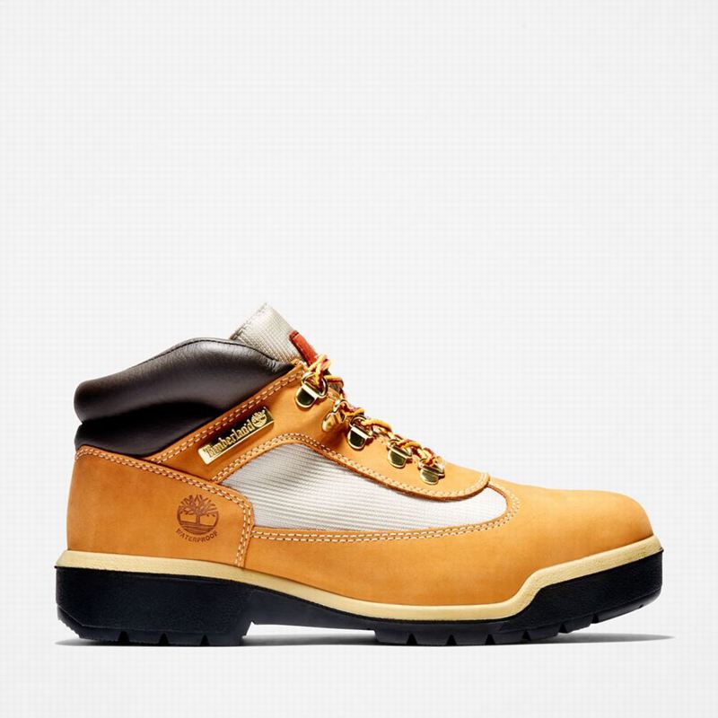 Brown Timberland Waterproof Field Waterproof Boots | 33452034