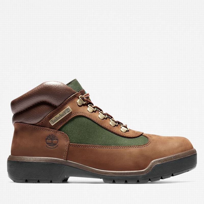 Brown Timberland Waterproof Field Waterproof Boots | 49314685