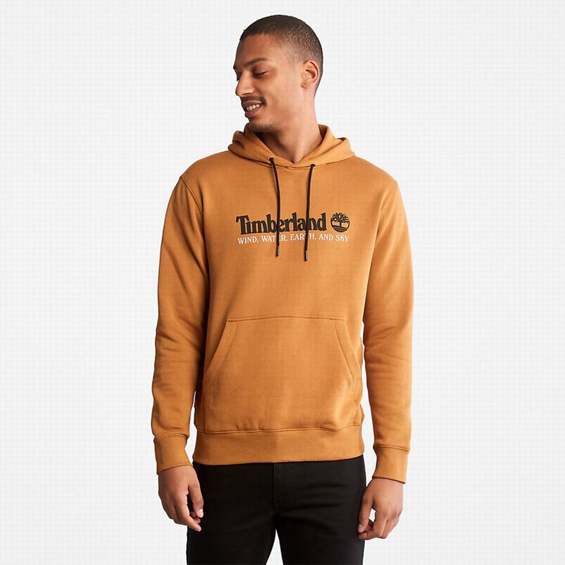 Brown Timberland Wind Water Earth and Sky Hoodie | 29933269