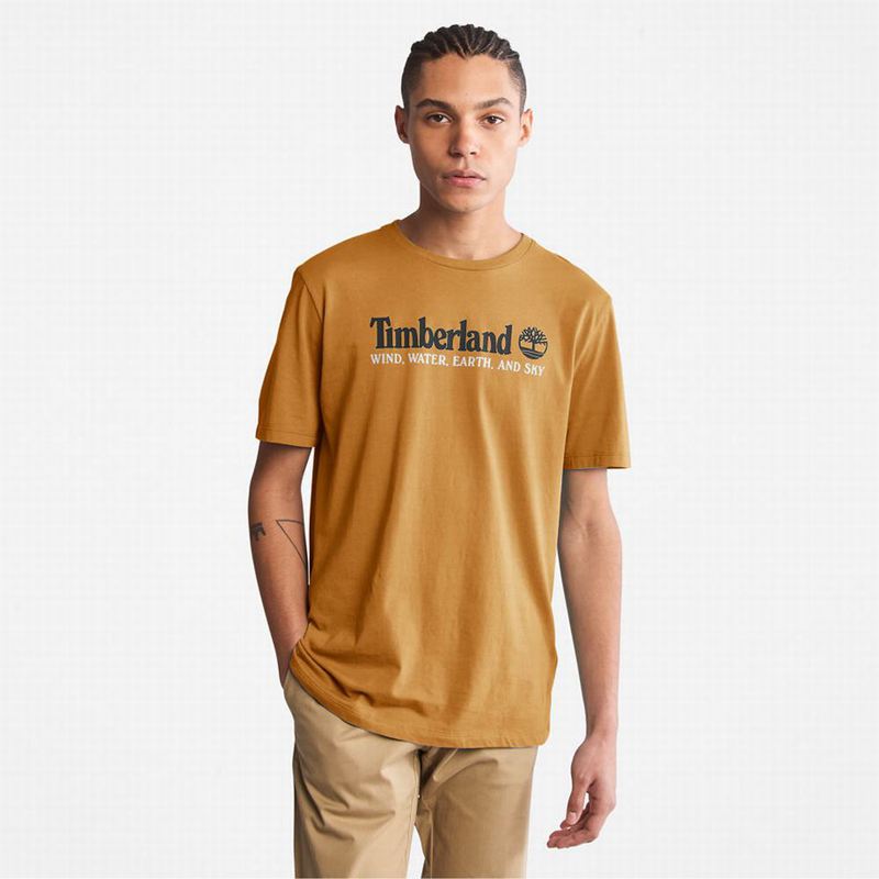 Brown Timberland Wind Water Earth and Sky T-Shirts | 30335940