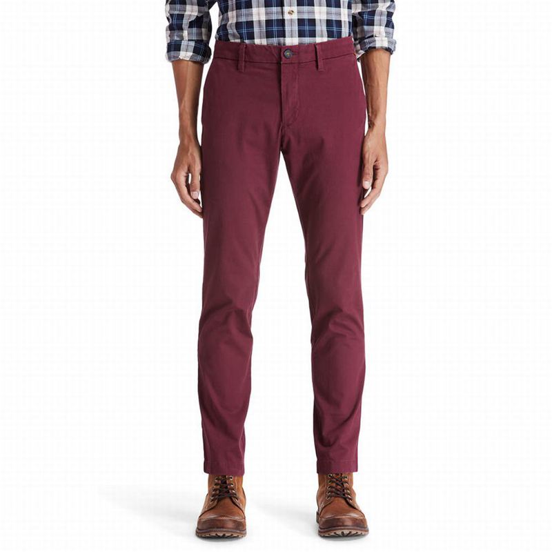 Burgundy Timberland Sargent Lake Chino Pants | 50925482