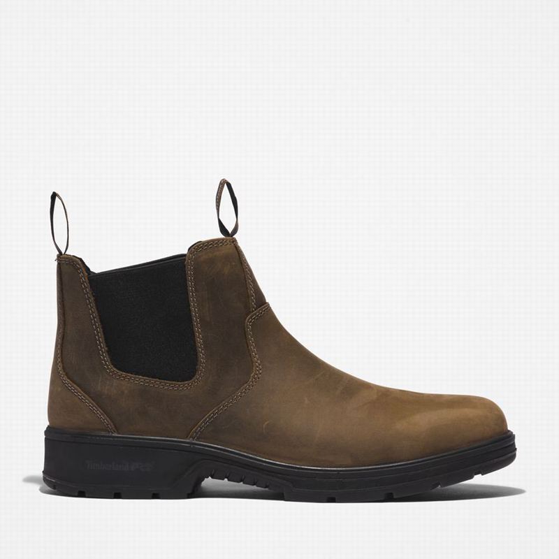 Coffee Timberland Nashoba Casual Composite Toe Chelsea Boots | 5210432