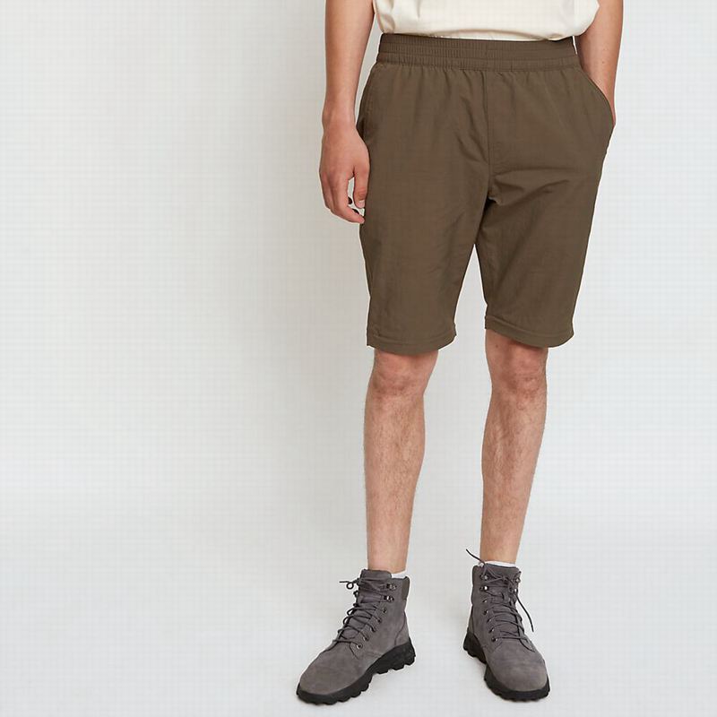 Coffee Timberland x WoodWood 2in1 Hiking  Pants | 20351584