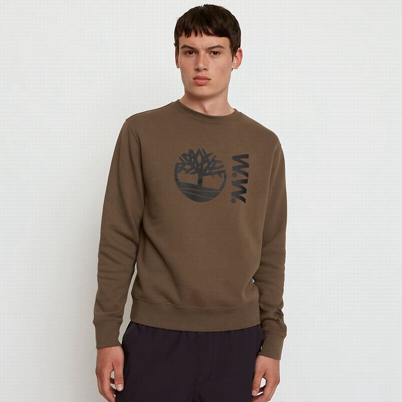 Coffee Timberland x WoodWood Crew Sweatshirts | 28521061